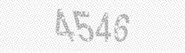 Visual security code — type the characters shown in the image