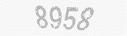 Visual security code — type the characters shown in the image